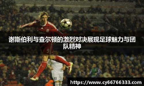 彩神VI官网